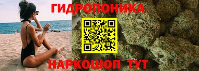 ALPHA PVP Новозыбков