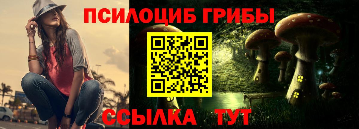 Псилоцибиновые грибы Psilocybe  как найти наркотики  Кстово  Галлюциногенные грибы Psilocybine cubensis  Вход с VPN 